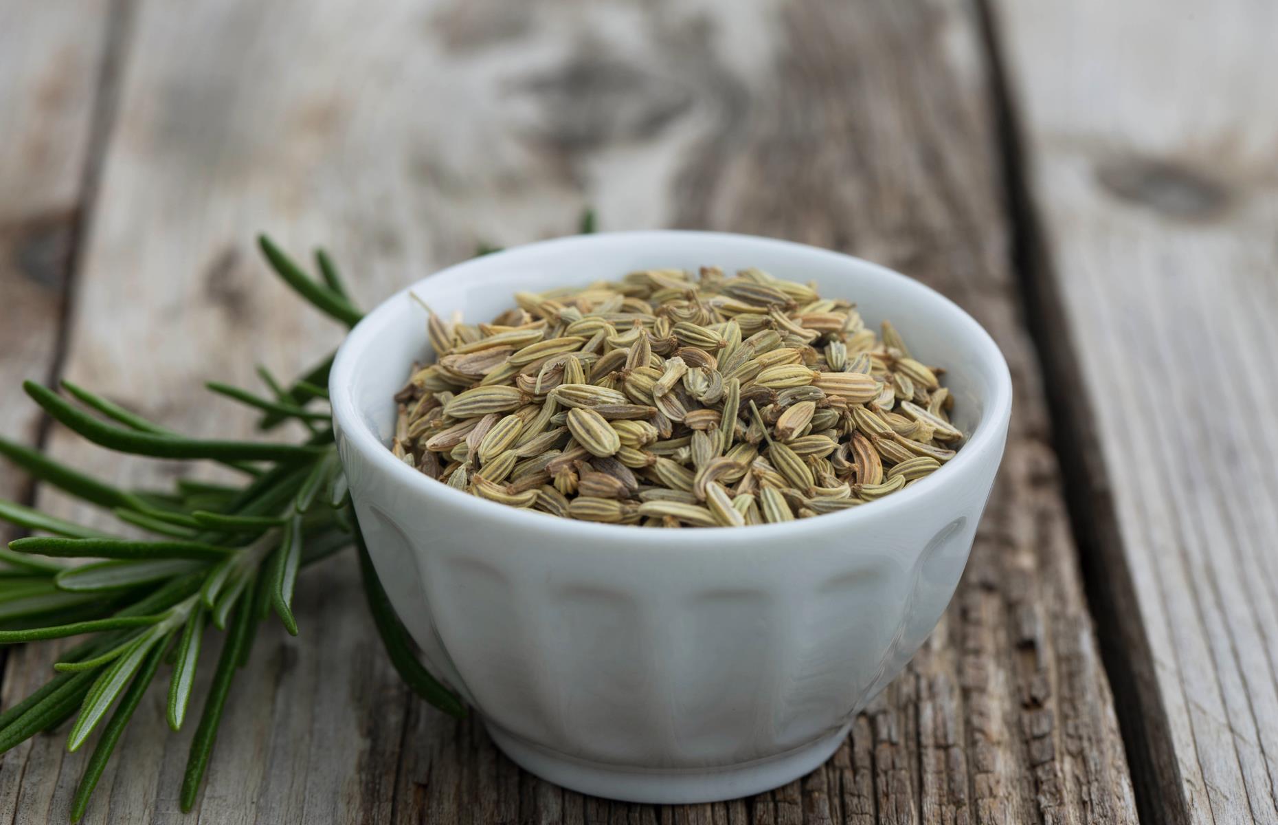 Dry rub: toasted fennel and paprika